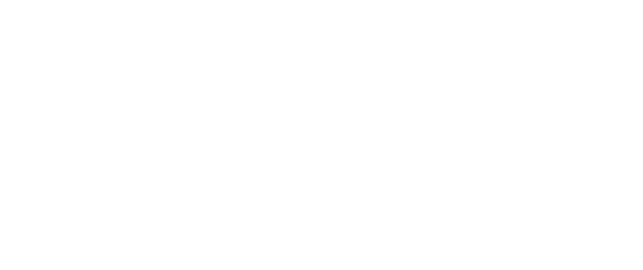 Logo APART